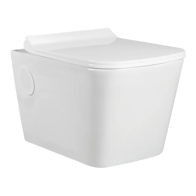 Wall Hung from the Roca Impex sanitaryware range