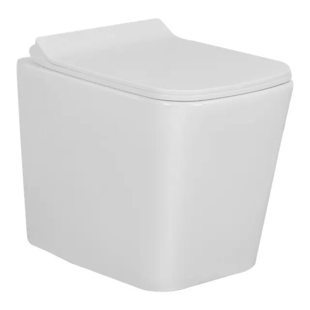 Rio water closet