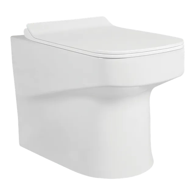 Cyclone water closet